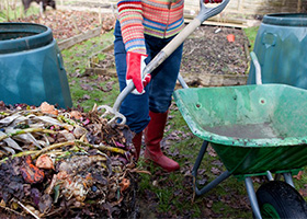 Kitchen Waste Compost