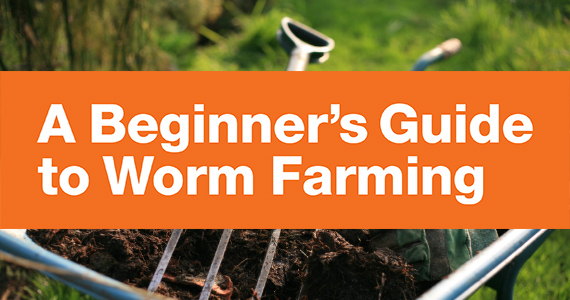 A Beginners Guide to Worm Farming