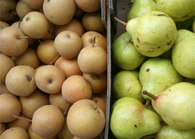 pears for oxfam